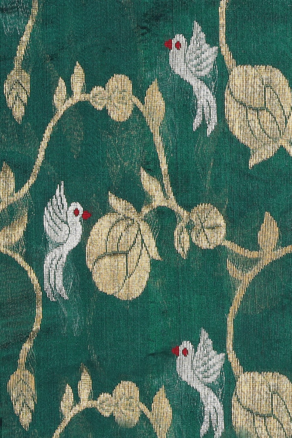 Image of Chanderi Cotton Silk Leaf-Green Saree