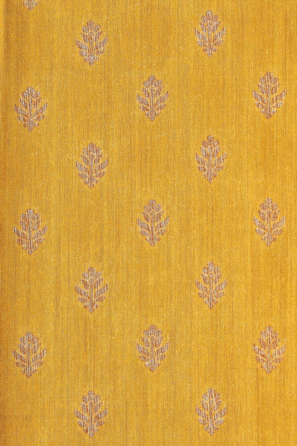 Tussar Silk Handloom Banarasi Saree