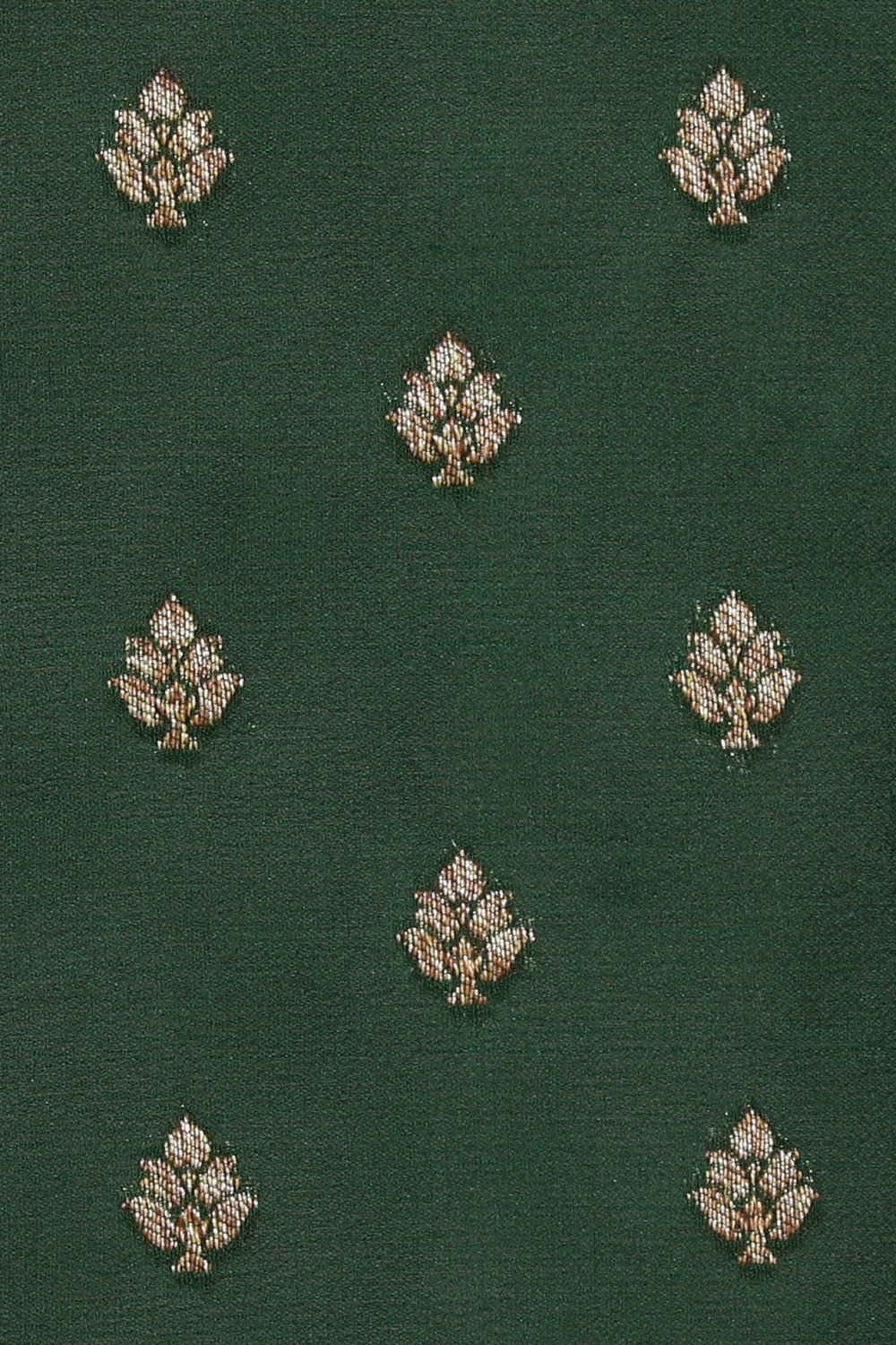 Image of Banarasi Georgette Green Saree