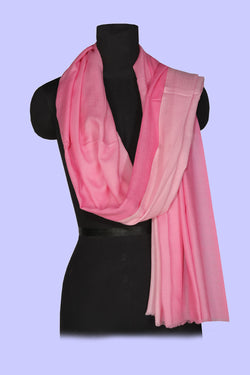 Collection of Kashmiri Pure Pashmina Stole in a gallery layout