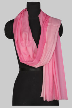 Collection of Kashmiri Pure Pashmina Stole in a gallery layout