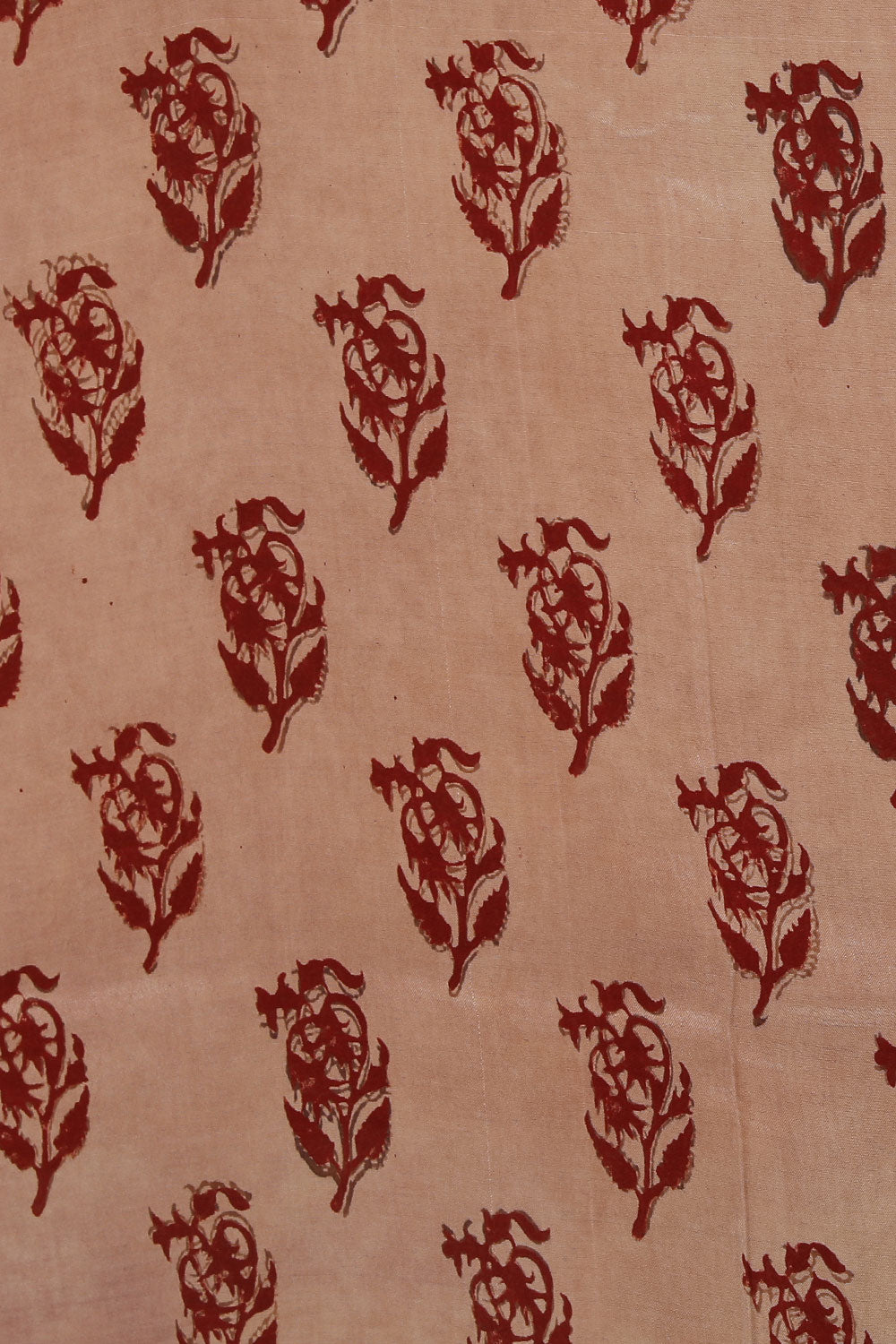 Image of Classy Bagru Printed Saree