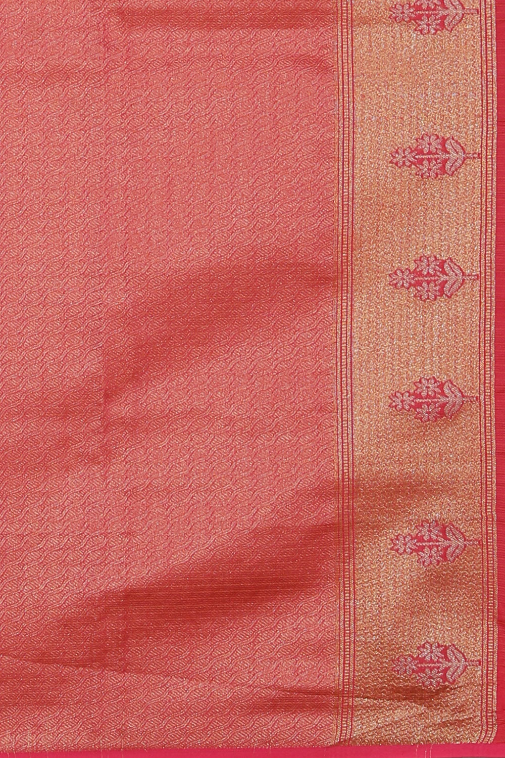 Tissue Gold Saree