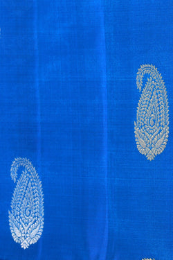 Collection of South Silk Blue Saree in a gallery layout