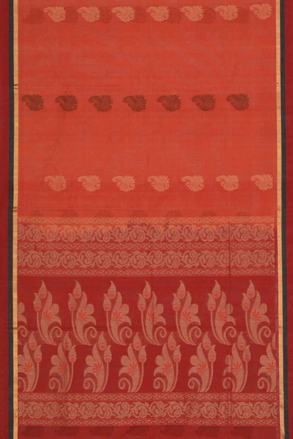 Collection of South Cotton Coral-Orange Saree in a gallery layout