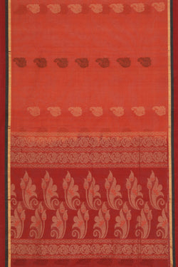 Collection of South Cotton Coral-Orange Saree in a gallery layout