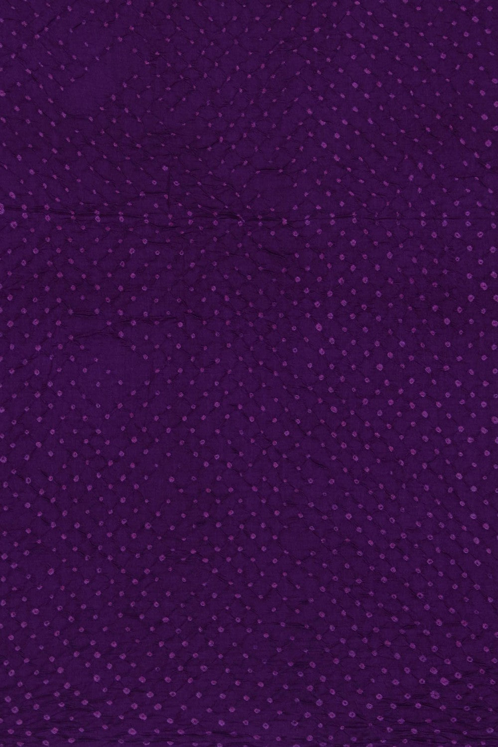 Image of Mirror Embroidery Desi Tussar Saree