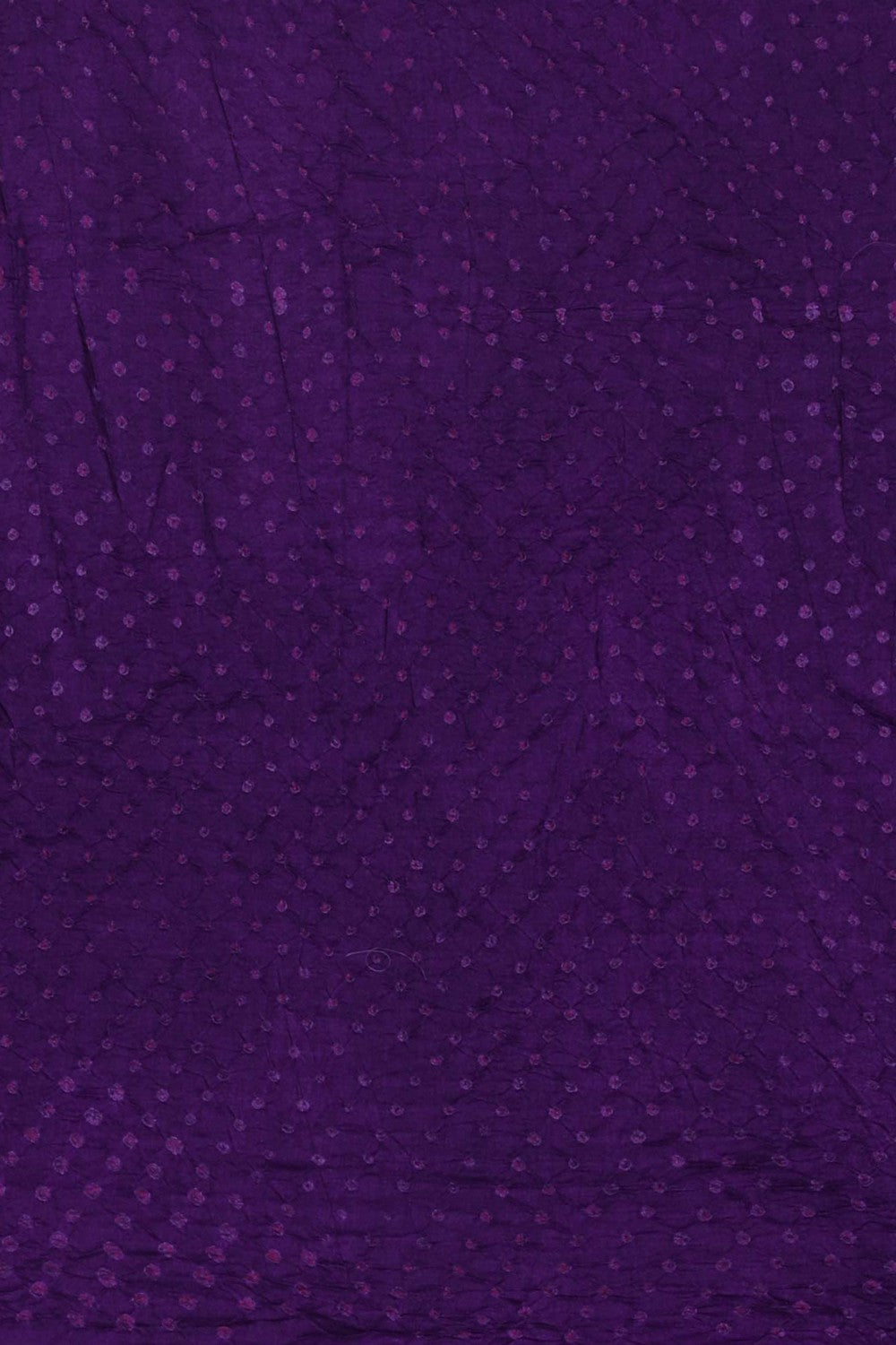 Image of Mirror Embroidery Desi Tussar Saree
