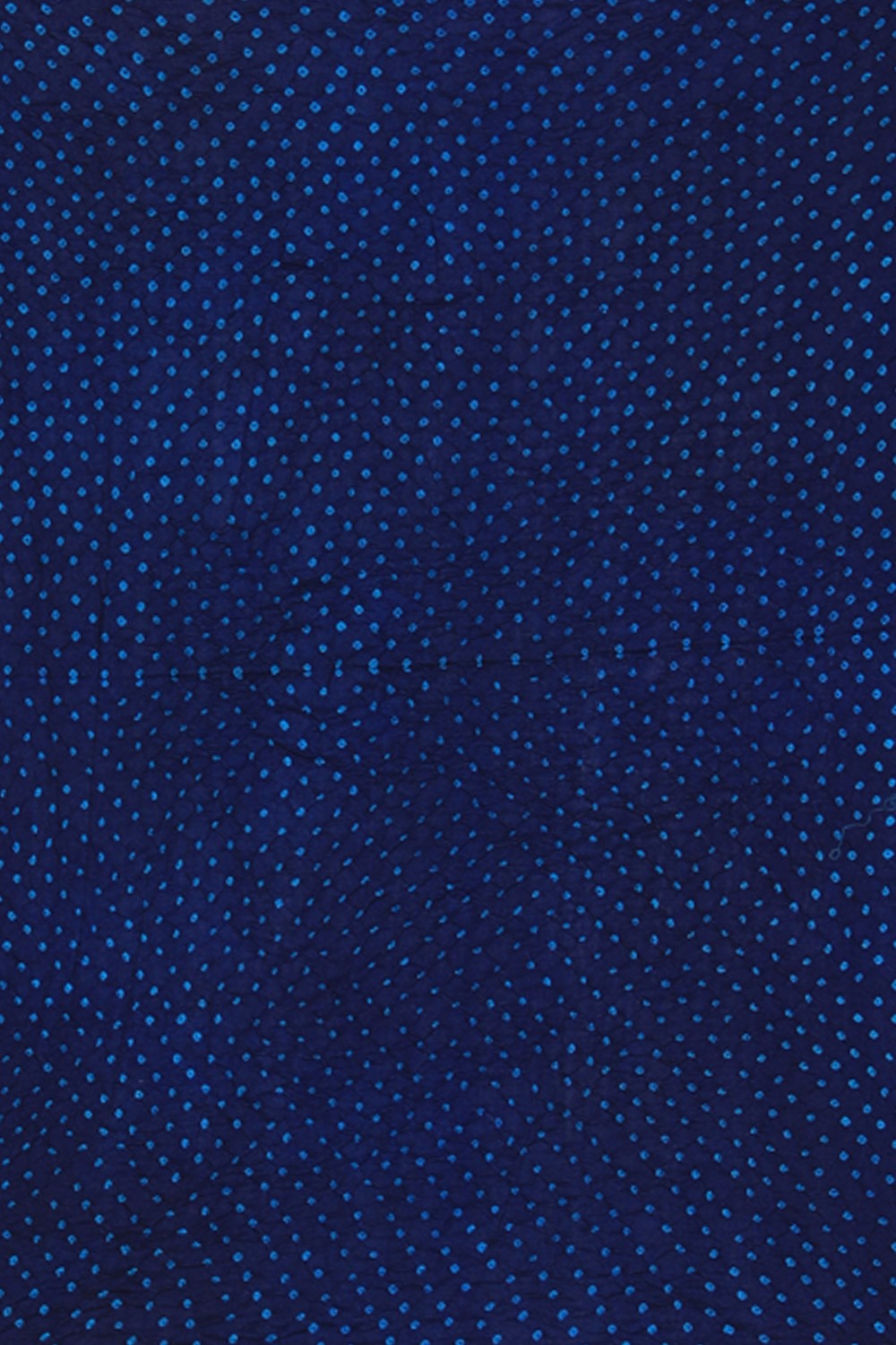 Image of Bagru Printed Blue Saree