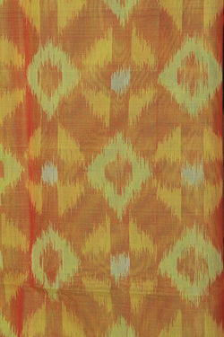 Image of Simple Elegant Ikat Saree