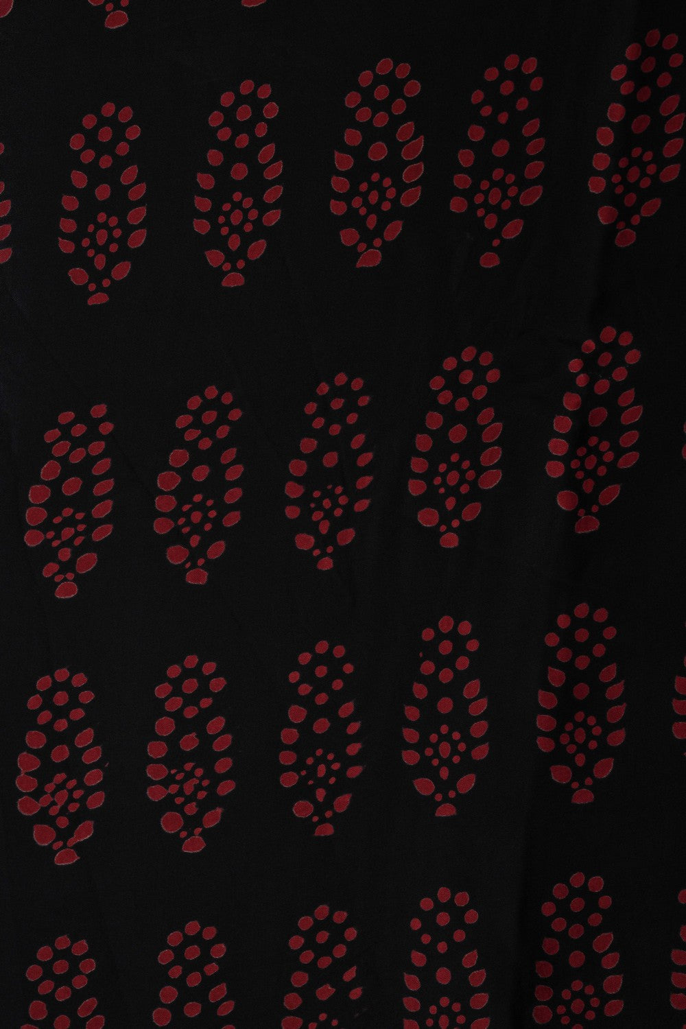 Image of Bagru Block Printed Saree