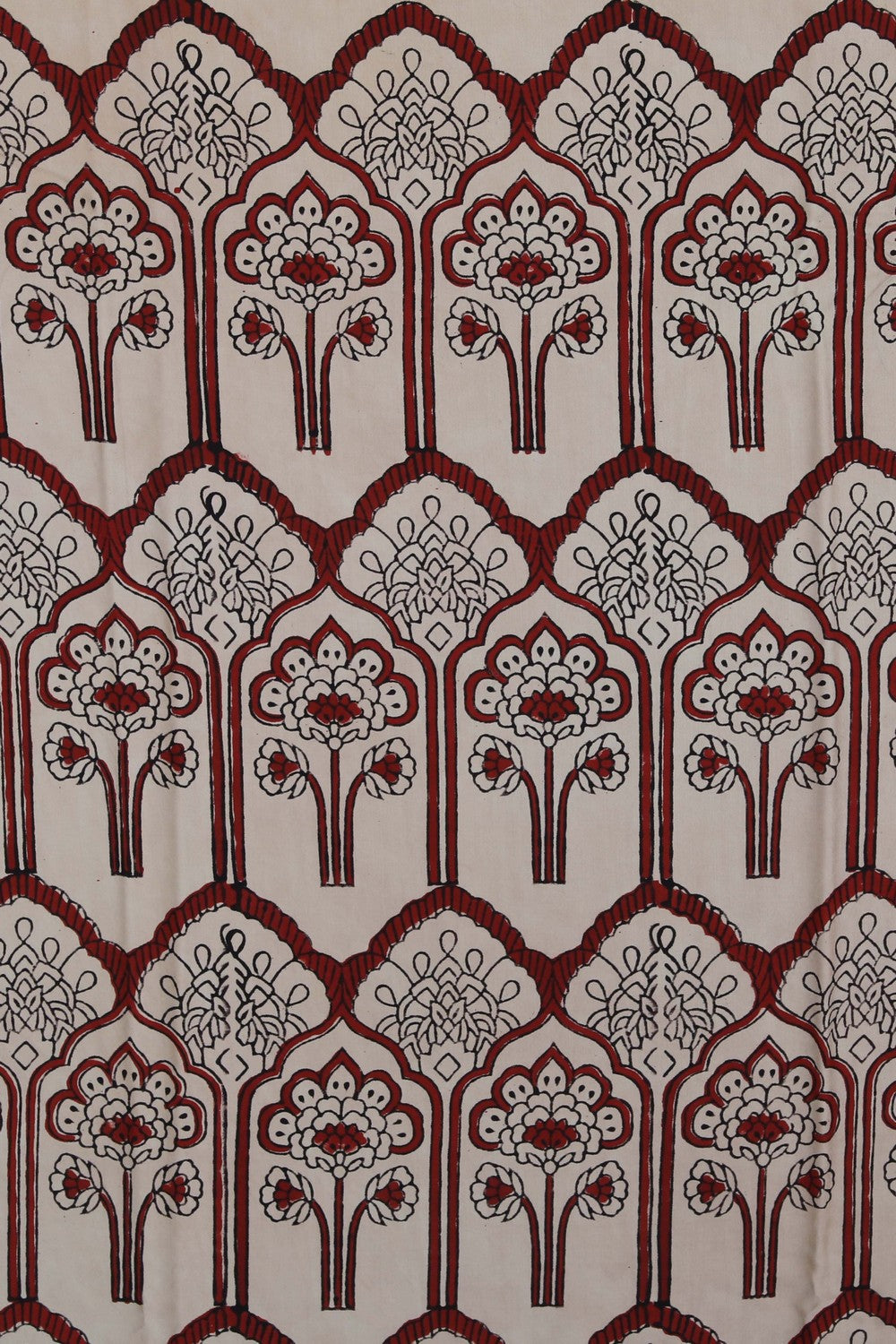 Image of Bagru Block Printed Saree