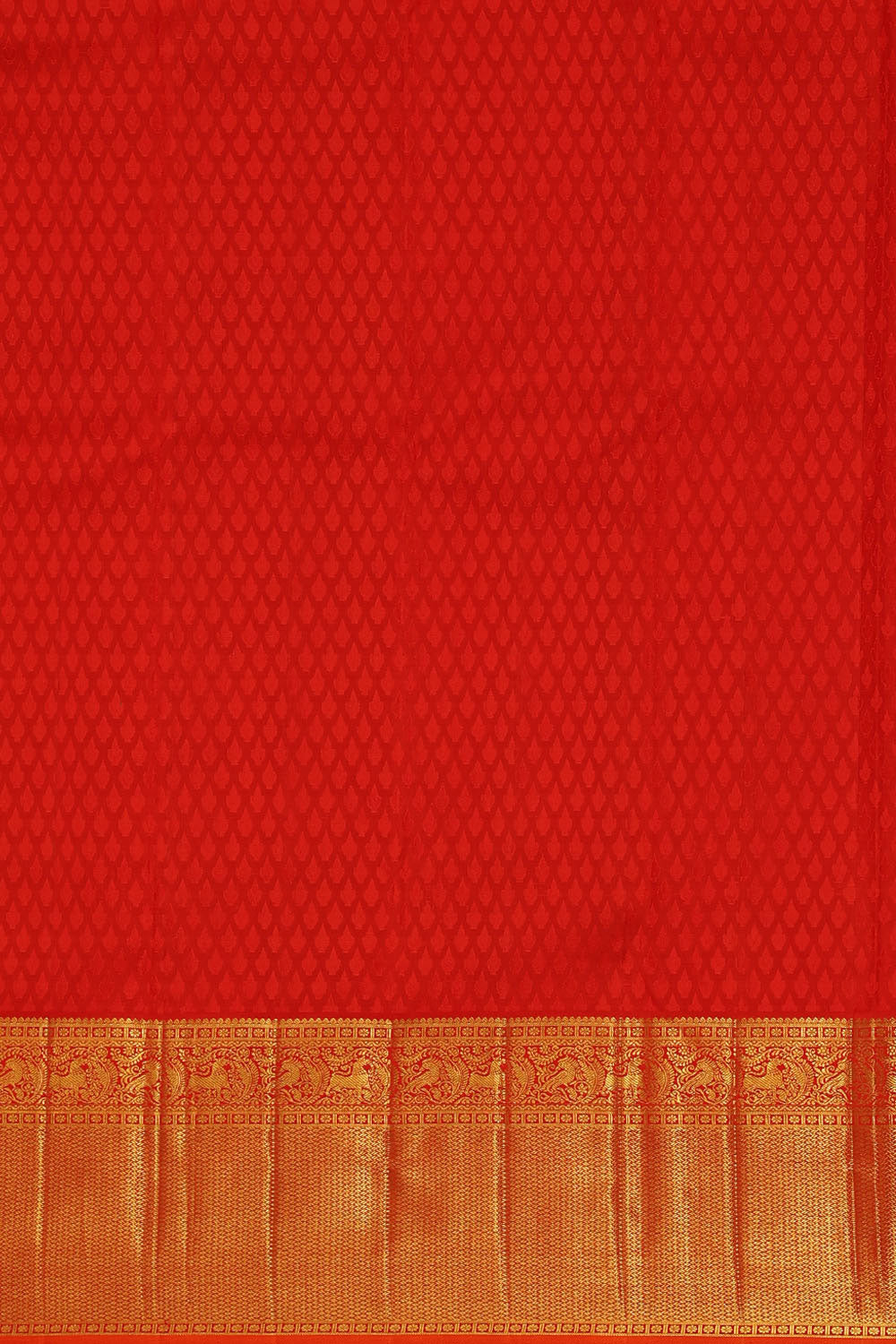 Image of Kanchipattu Parrot Green Brocade Saree