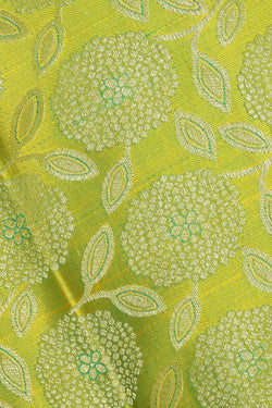 Image of Kanchipattu Lime Green Brocade Saree