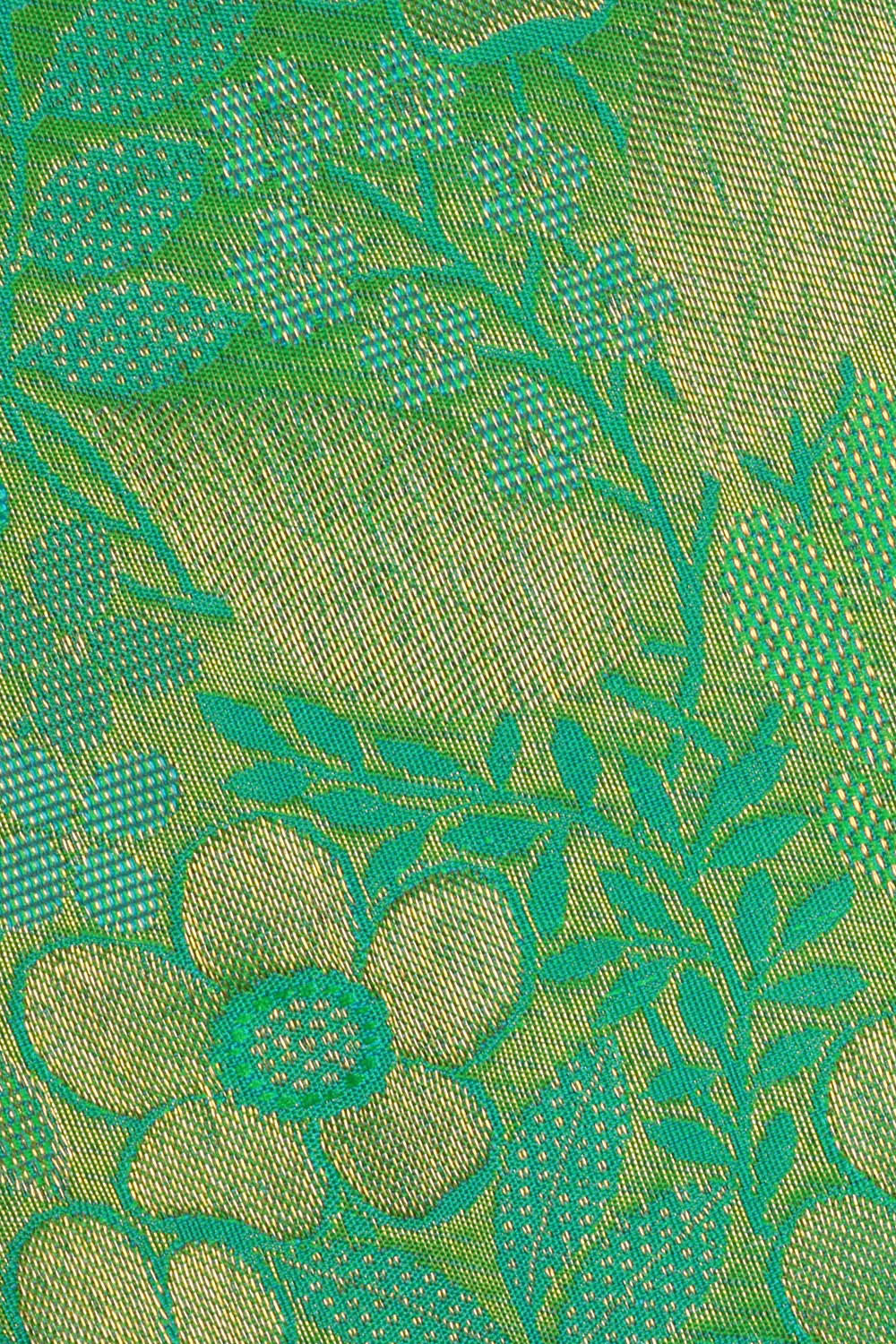 Image of Kanchipattu Sea Green Brocade Saree