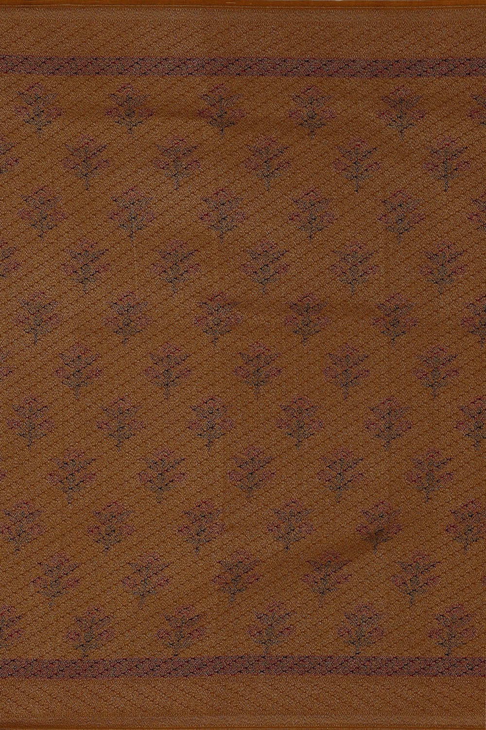 Image of Banarasi-Georgette Beige Saree