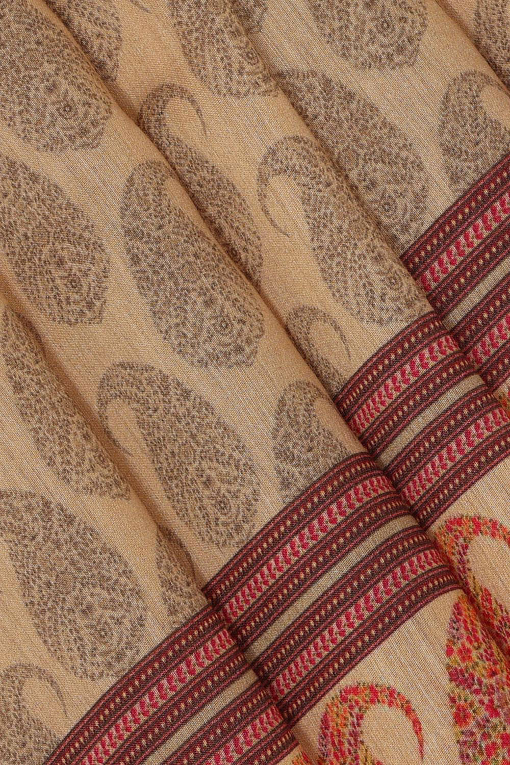 Tussar Moonga Silk Beige Saree