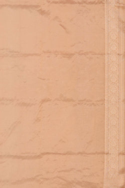 Collection of Kora Pastel Orange Tissue Saree in a gallery layout