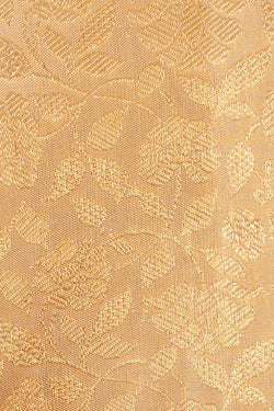 Image of Kanchipattu Creamy Gold Brocade Saree