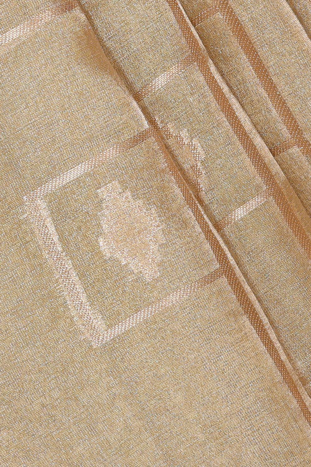 Collection of Banarasi Gold Tissue Kora Saree in a gallery layout