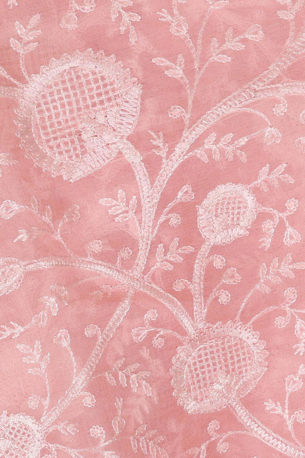 Image of Organza Light Peach Saree