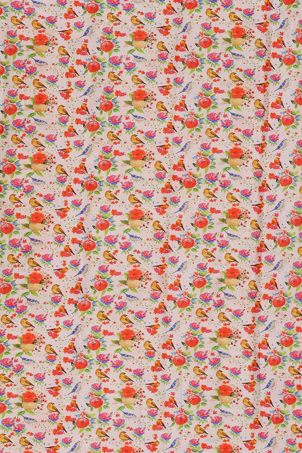 Image of Kanchipattu Cream Colour Floral Saree