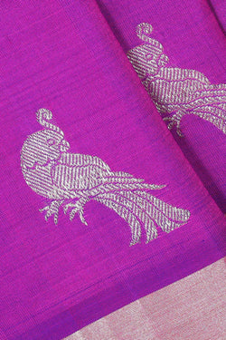 Collection of Venkatagiri Silk Magenta Saree in a gallery layout