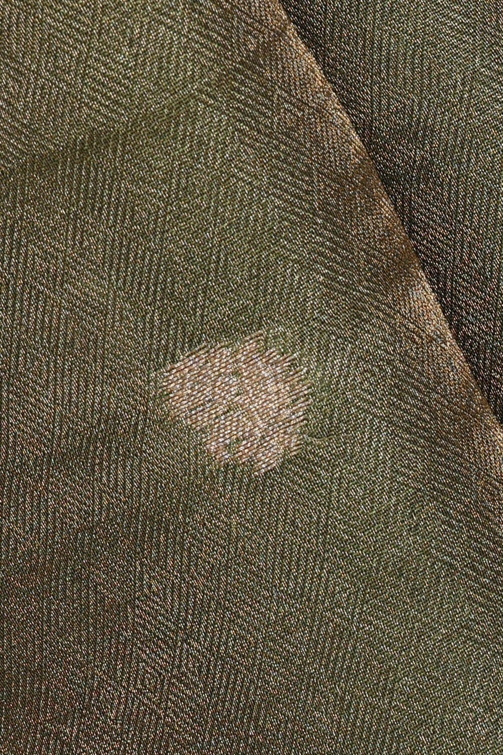 Olive Green Tissue Silk Saree