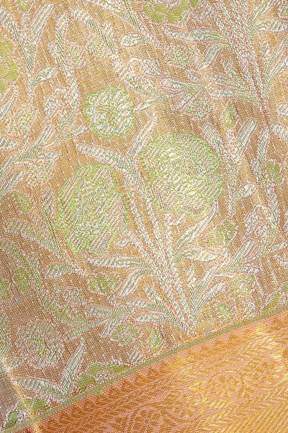 Collection of Kanchipattu Creamy Gold Tissue Brocade Saree in a gallery layout