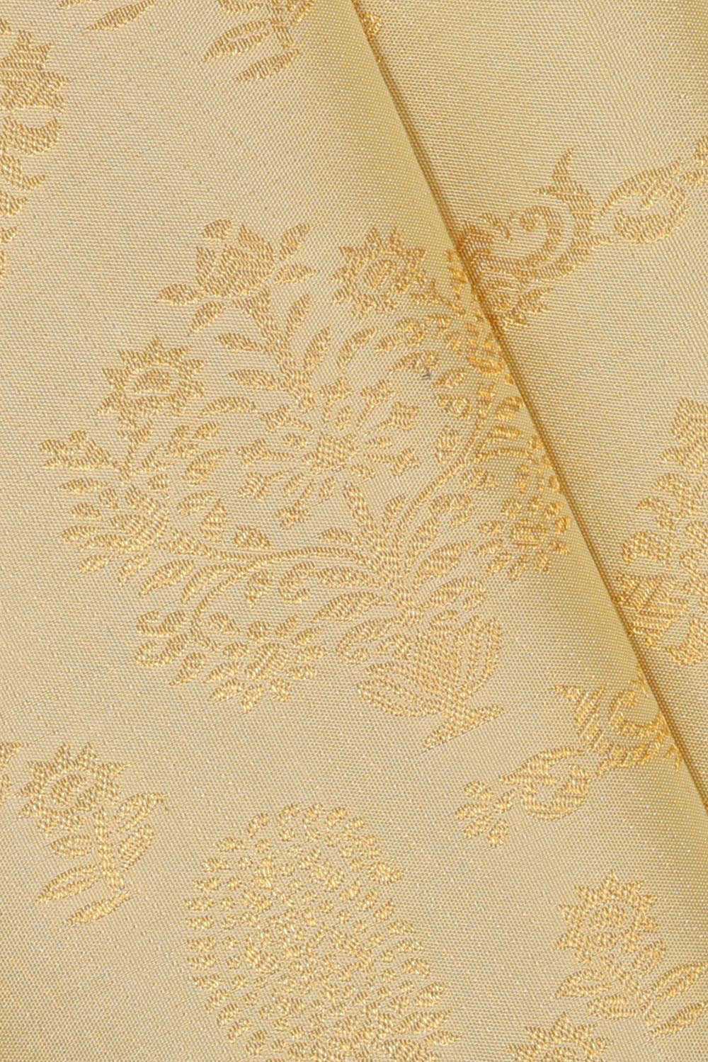 Collection of Kanchipattu Cream Brocade Saree in a gallery layout