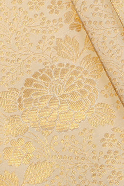 Collection of Kanchipattu Cream Brocade Saree in a gallery layout