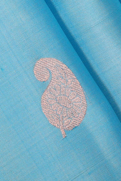 Collection of Kanchipattu Light Blue Brocade Saree in a gallery layout