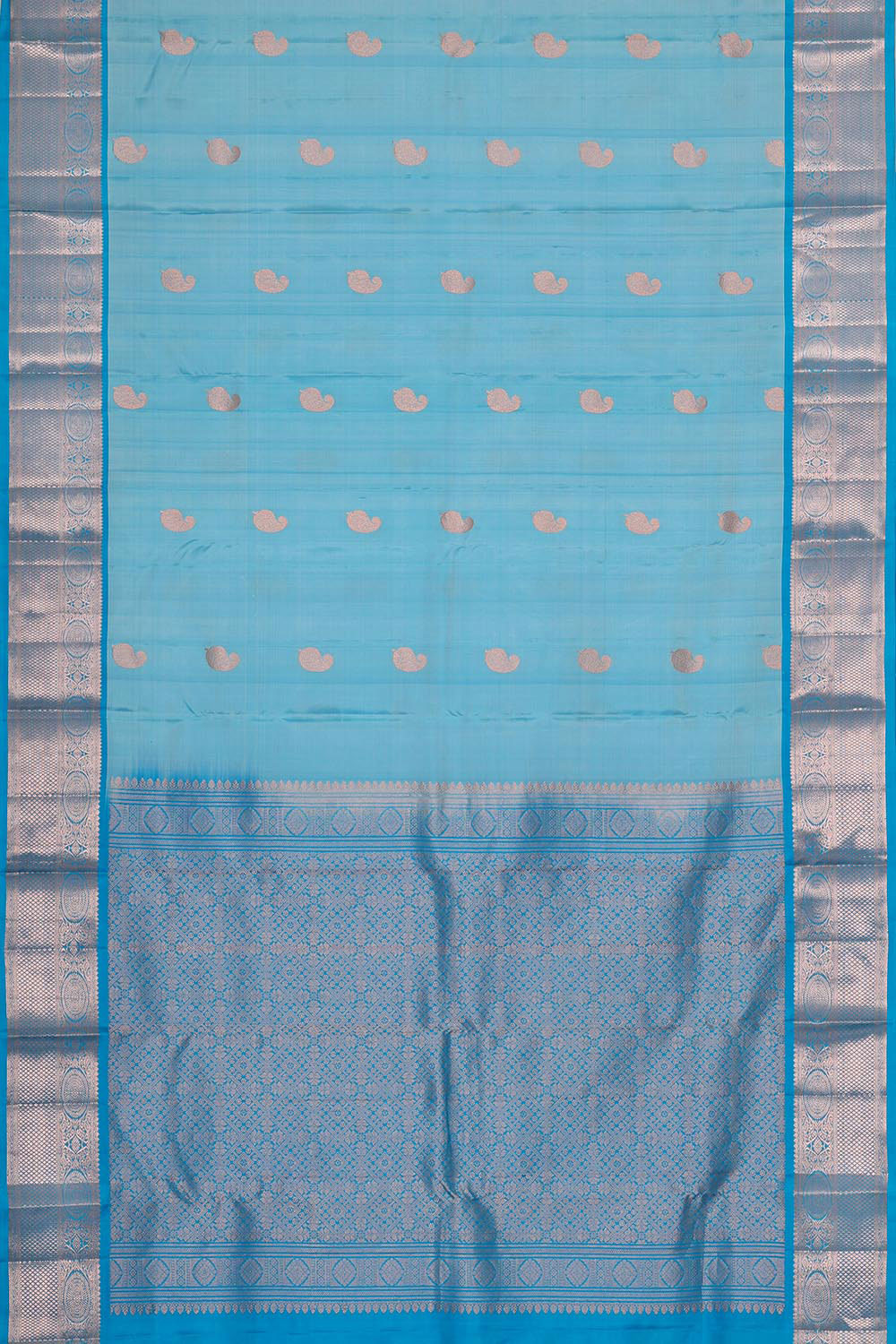 Collection of Kanchipattu Light Blue Brocade Saree in a gallery layout