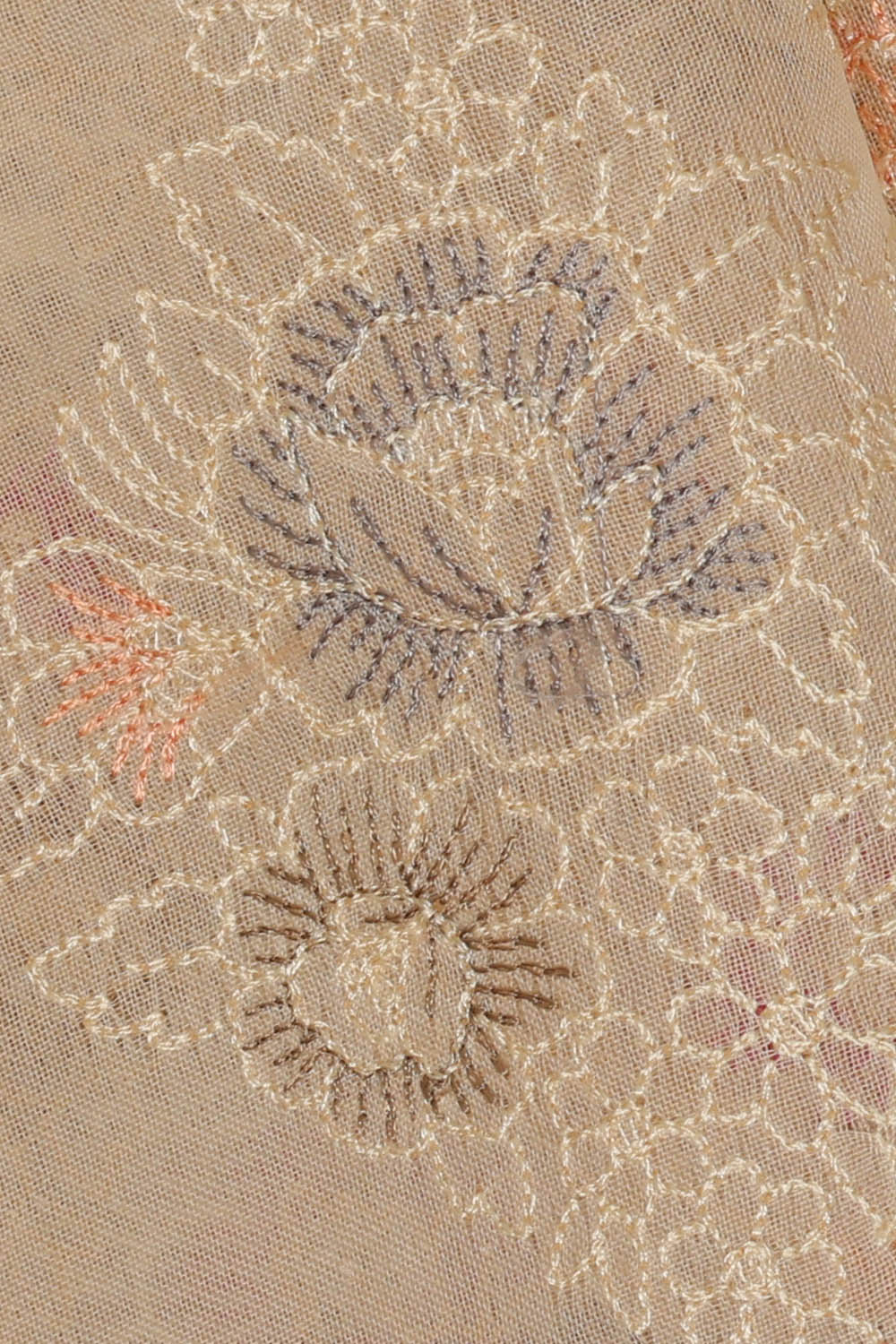 Image of Beige Embroidery Saree