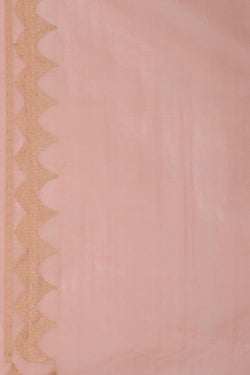 Image of Organza Onion Pink Saree