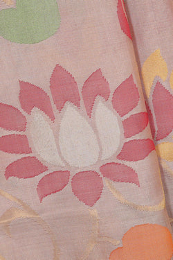 Image of Uppada Silk Ivory Cream Saree