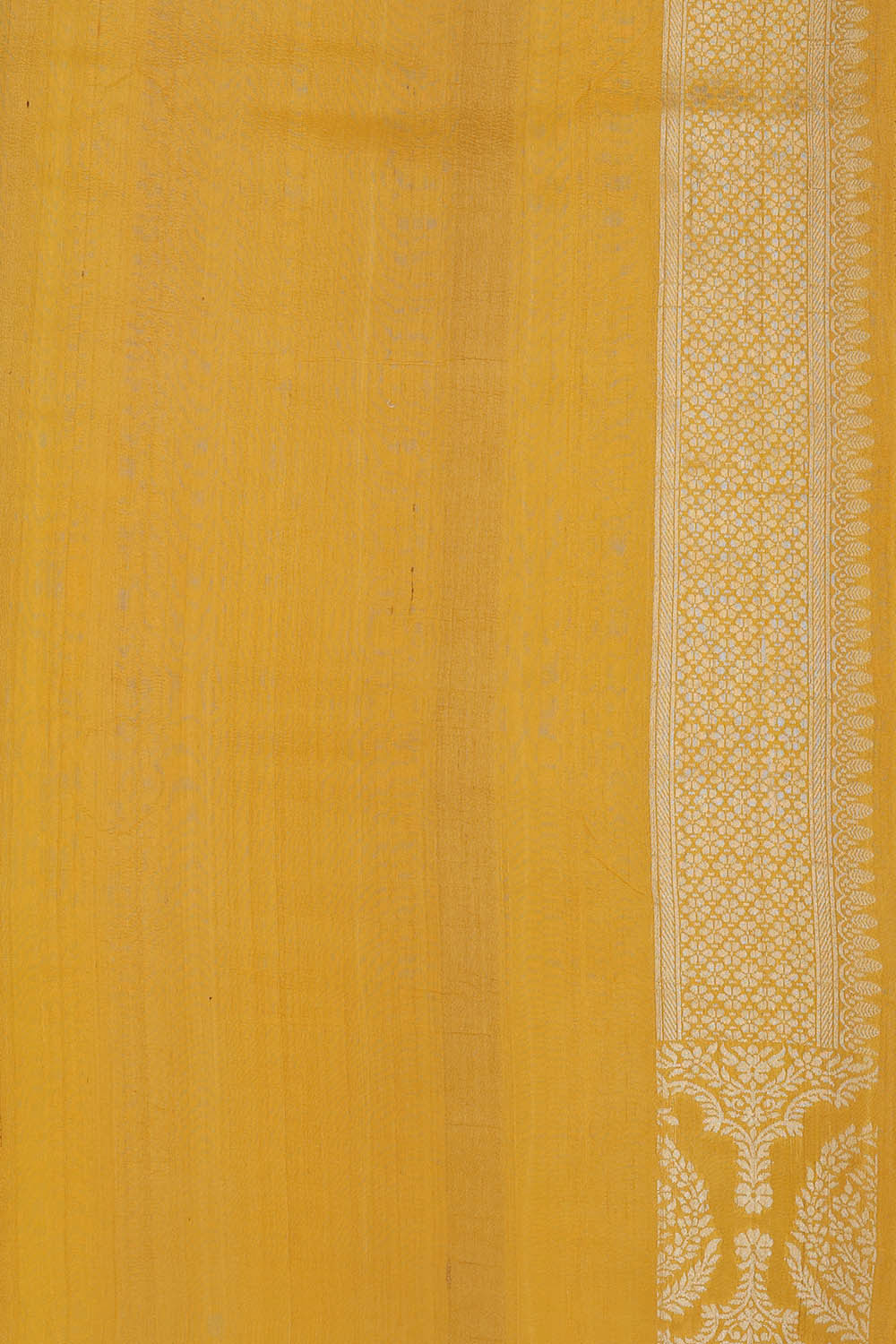 Tussar Georgette Mustard Yellow Saree