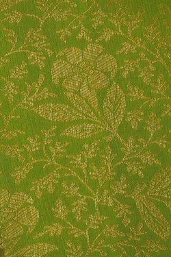 Image of Kanchipattu Parrot Green Brocade Saree