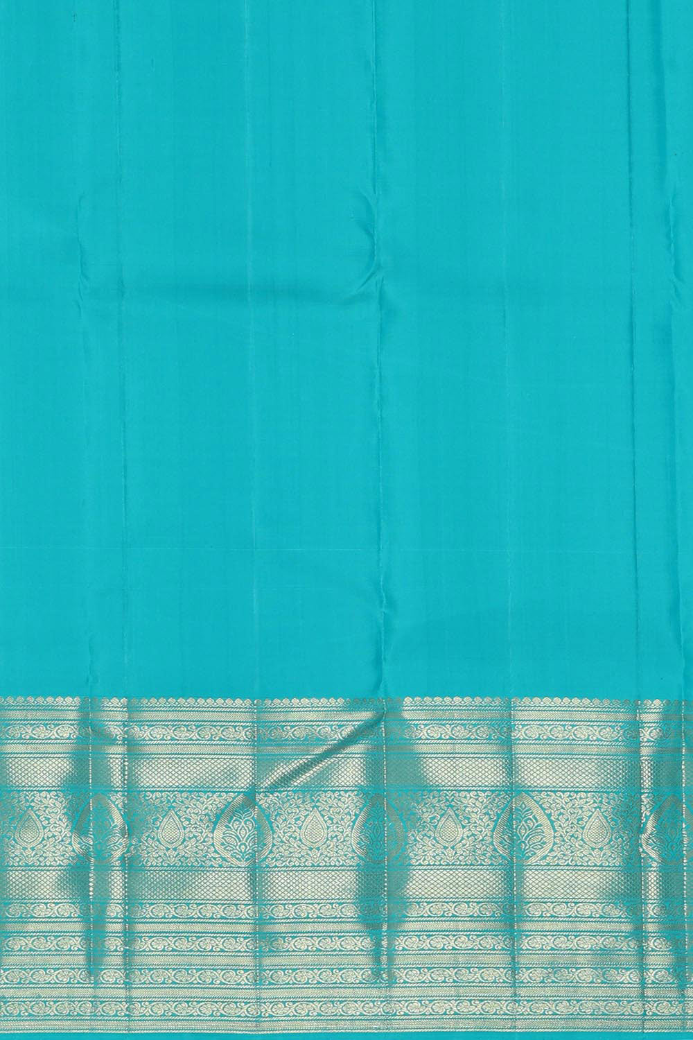 Kanchipattu Sky Blue Brocade Saree