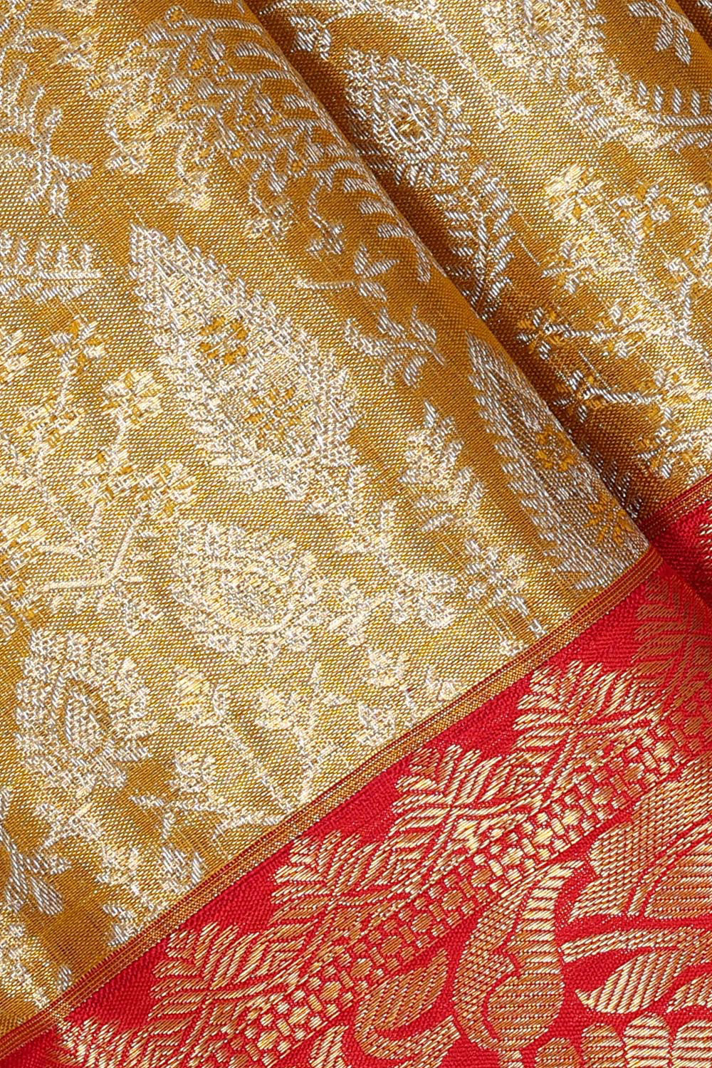 Kanchipattu Gold Tissue Brocade Saree