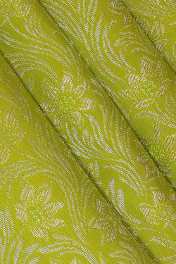 Image of Kanchipattu Parrot Green Brocade Saree