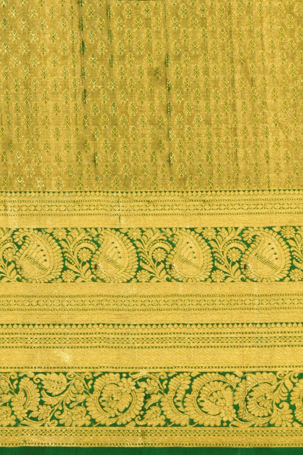 Image of Kanchipattu Tissue Brocade Saree