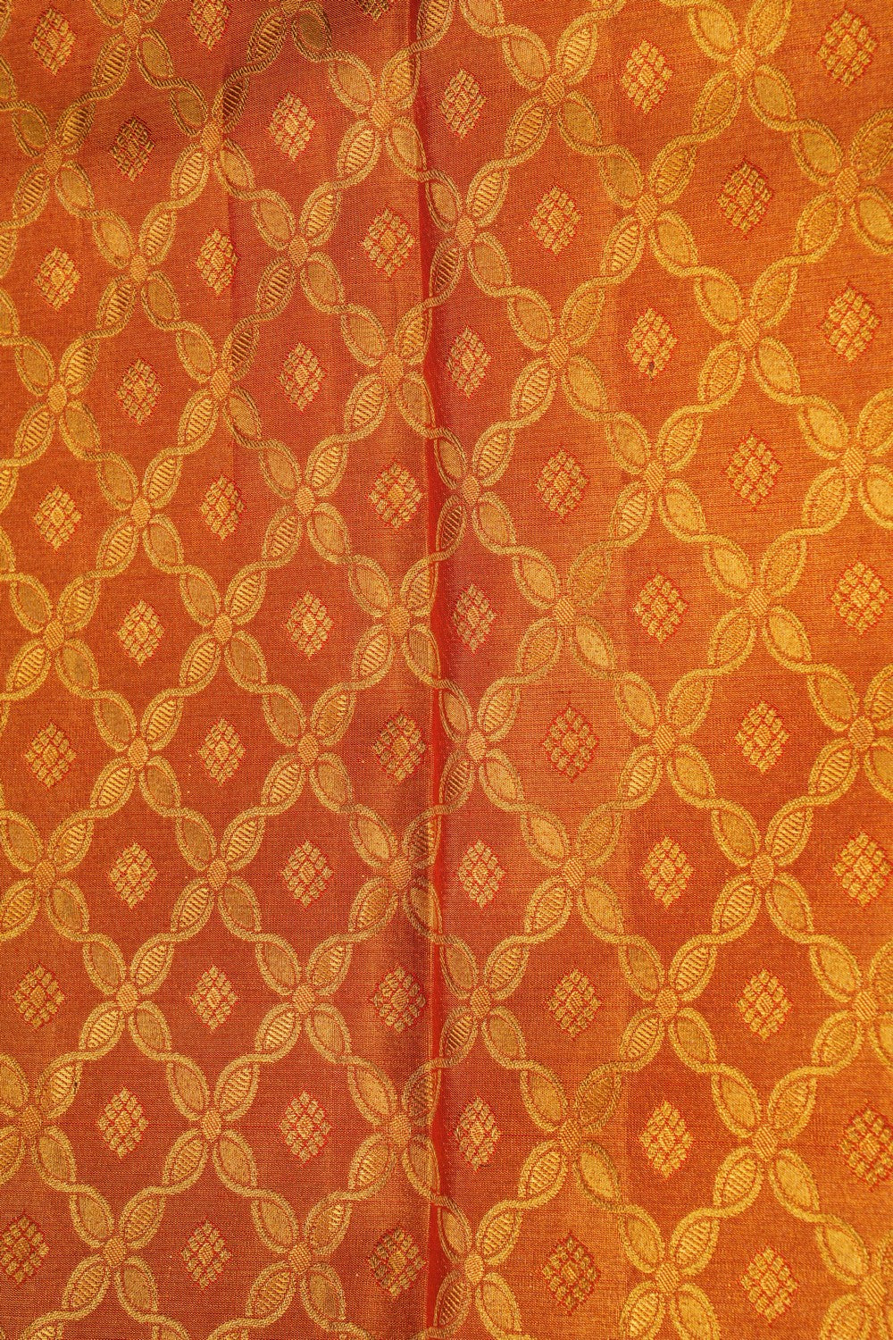 Image of Gold-Red Tissue Brocade Kanchipattu Saree