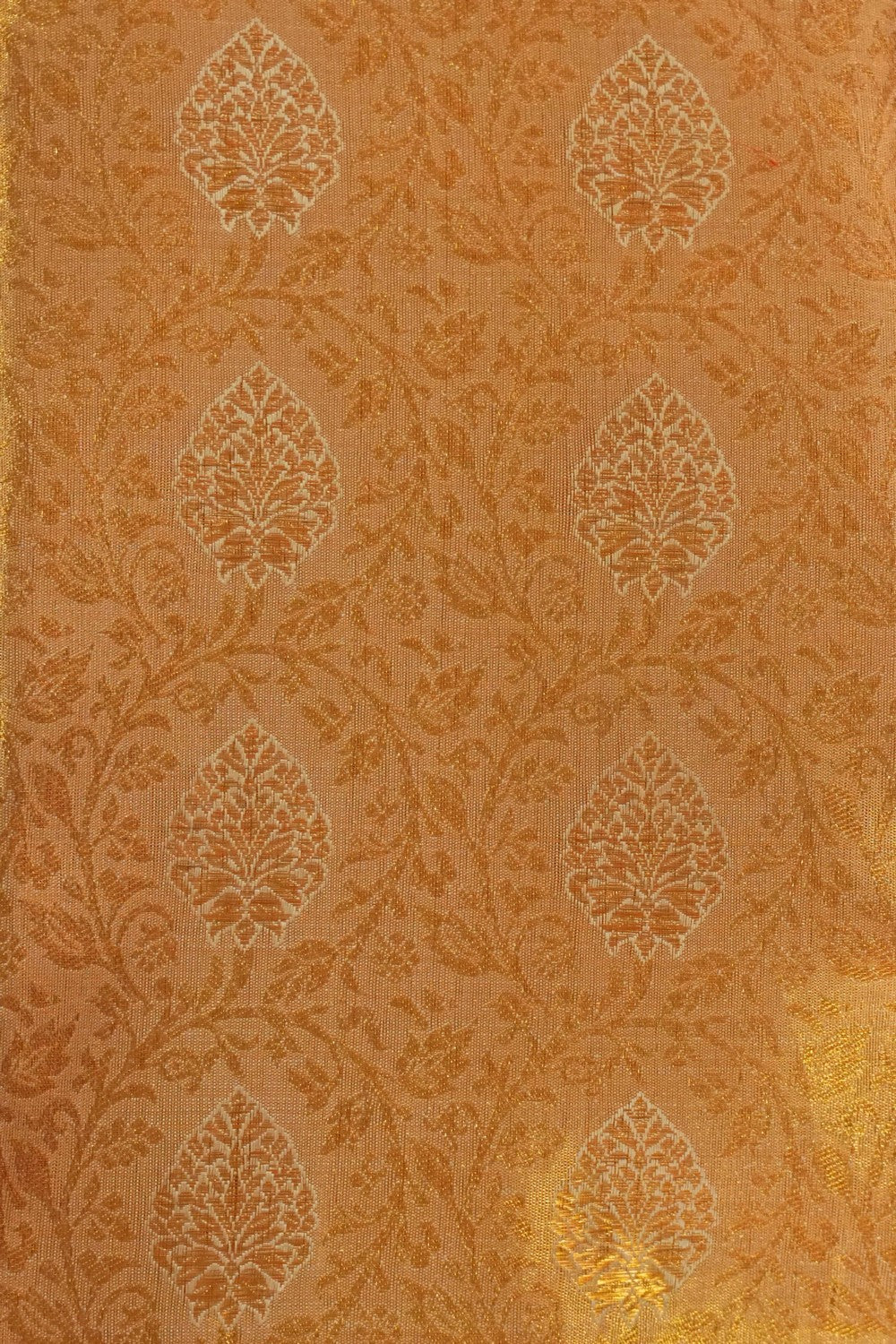 Image of Kanchipattu Tissue Brocade Gold Saree