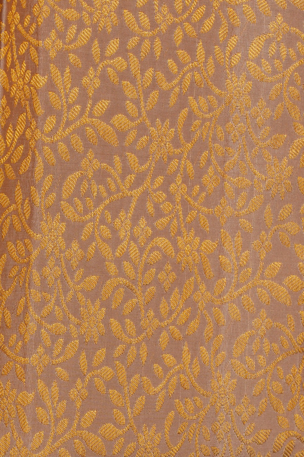 Image of Kanchipattu Brocade Beige Saree