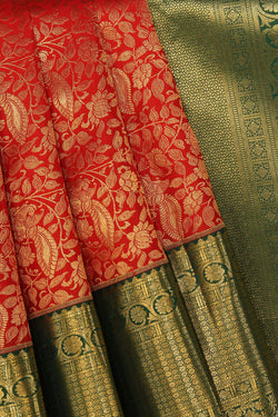 Collection of Kanchipattu-Silk, Red Saree in a gallery layout