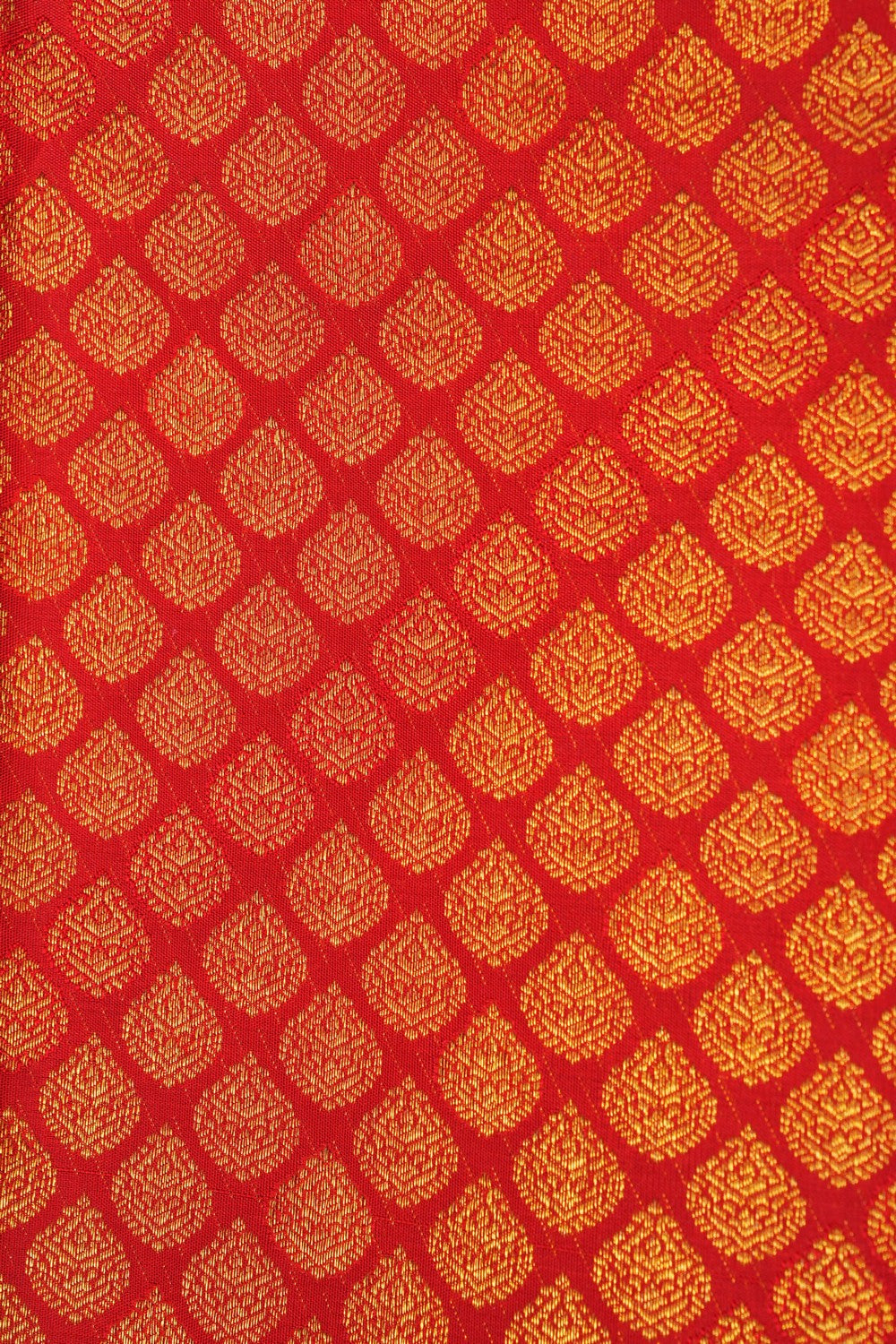 Image of Kanchipattu Brocade Red Saree