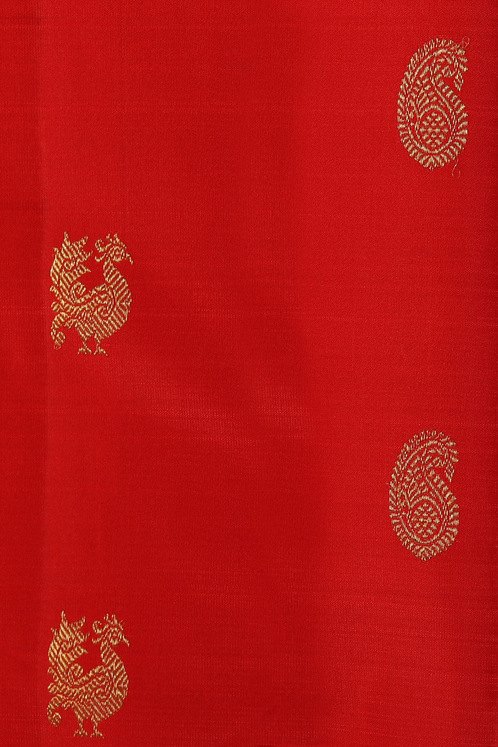 Collection of Kanchipuram Silk Red Saree in a gallery layout