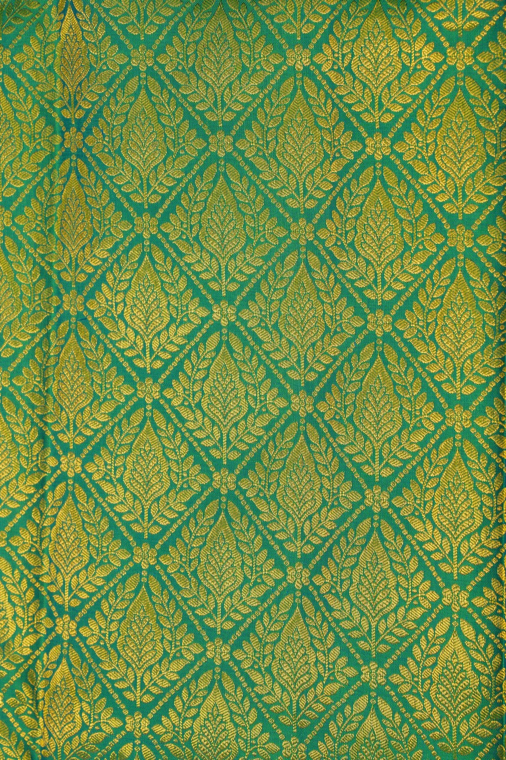 Image of Kanchipattu Brocade Green Saree