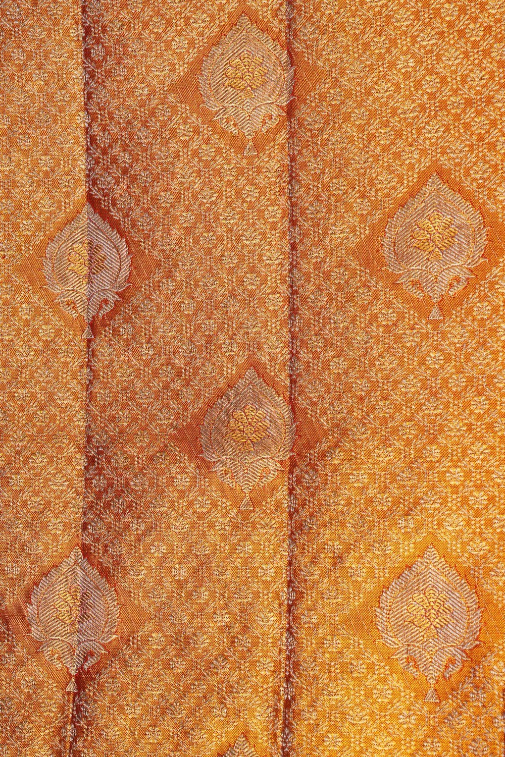 Image of Kanchipattu Tissue Brocade Gold Saree